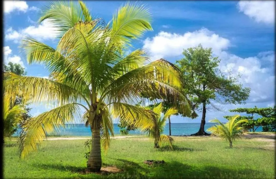 Bord De Mer Belle Villa Avec Grande Piscine سانت لوسي 0*, سانت لوسي مارتينيك