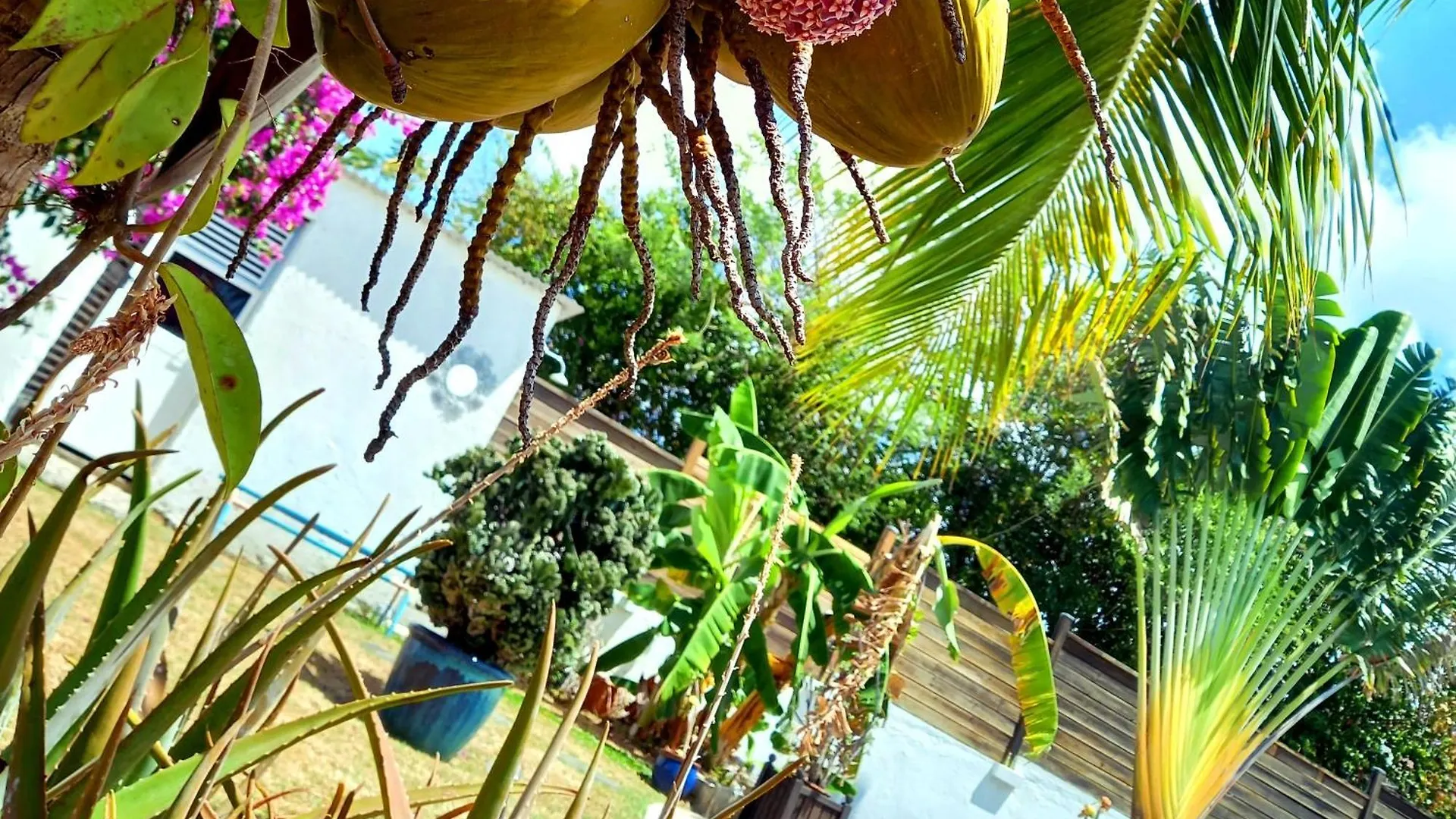 Bord De Mer Belle Villa Avec Grande Piscine سانت لوسي